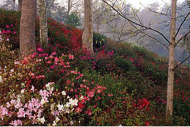 《收获日3》日活峰值达130万 发行商为服务器问题道歉